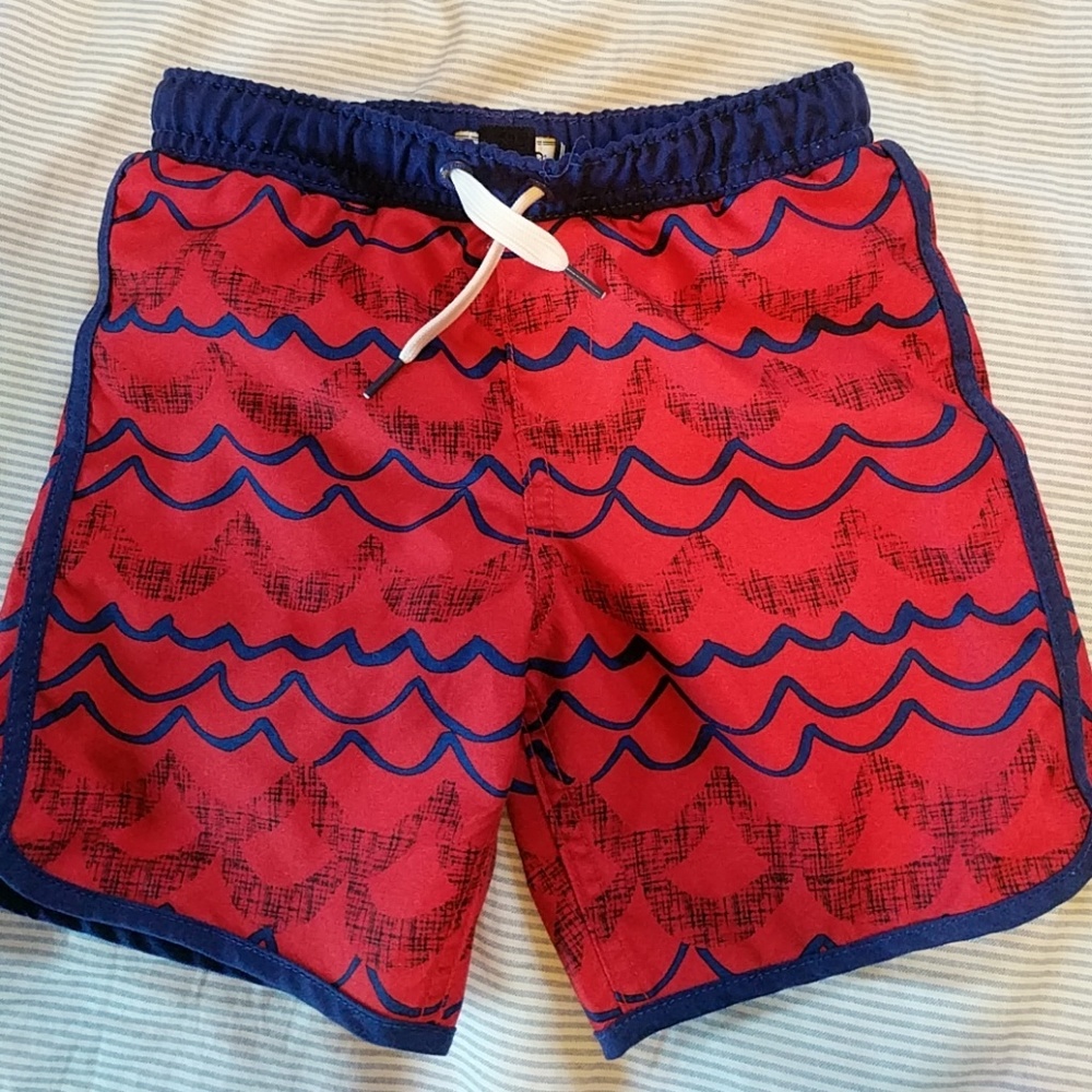 Boy's Bathing Suit - land's end size s